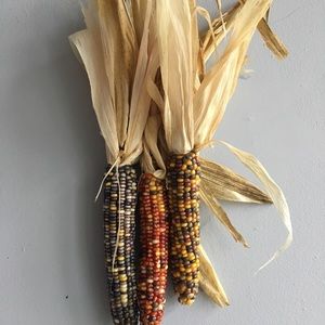 Hand picked Indian corn from Iowa.